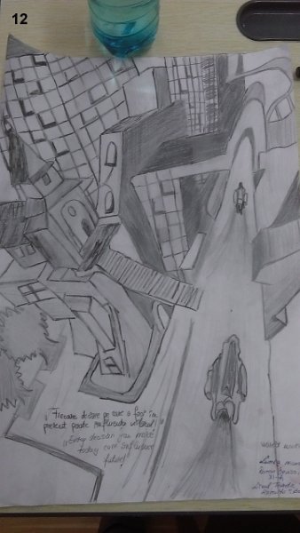 12_Denisa ROMAN_Lic Racovita.jpg